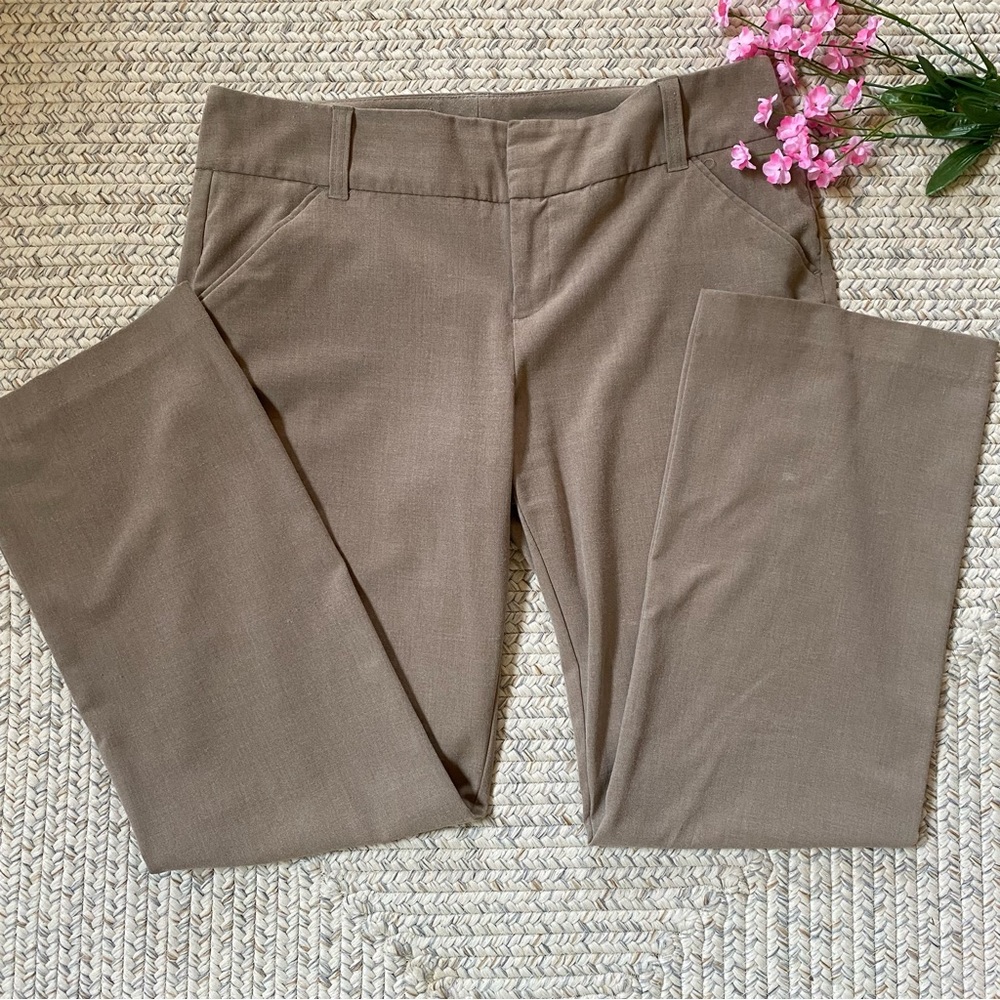 Daisy Fuentes Tan Dress Work pant